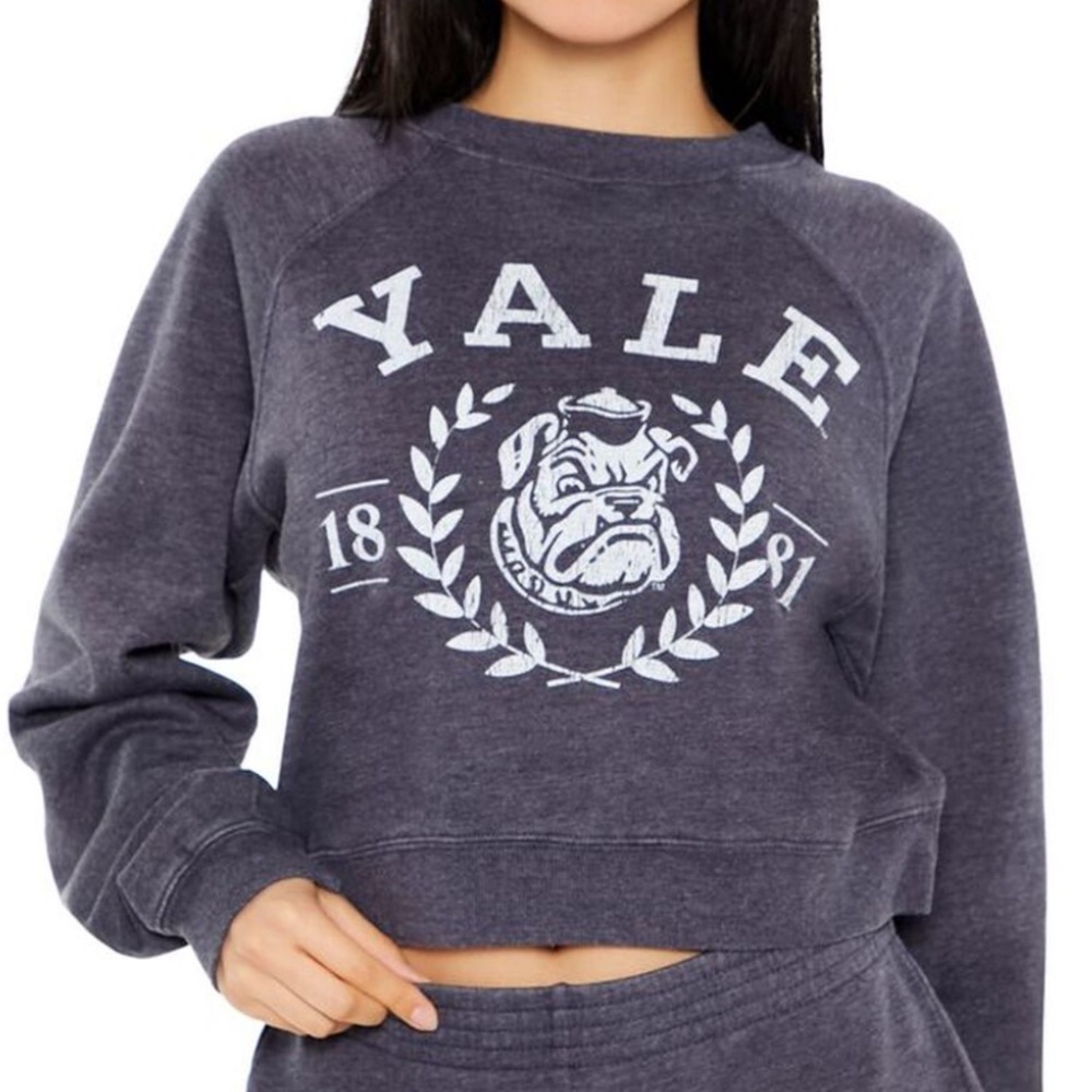 Yale University Blueish Gray Fleece Lined Yale Graphic Cropped Sweatshirt Size M
